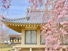 -醍醐寺