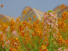 -中国天府农业博览园