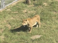 -青藏高原野生动物园