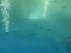 -SHRIMP CLUB万东餐饮钓虾·清吧