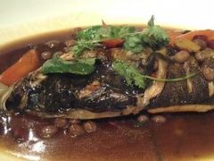 红烧鲢鱼头-冶春茶社(太和广场店)