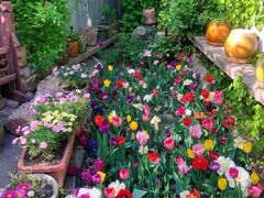 -斯多格书乡(北京大学畅春园店)