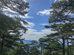 -黄山风景区