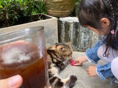-老屋咖啡