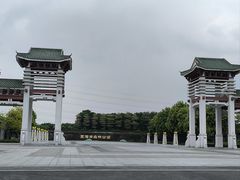 -王借岗森林公园