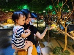 -酷嗒动物文化乐园(cutezoo西溪乐天城店)