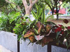-Au Cafe&Roastery(华侨城店)