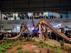 -自贡恐龙博物馆