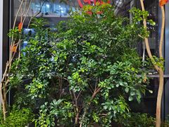 -精德口腔·种植修复·儿牙中心(财富中心店)