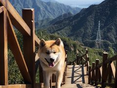 -大岭沟猕猴桃谷风景区
