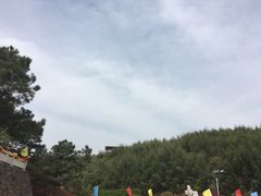 -大金山风景区