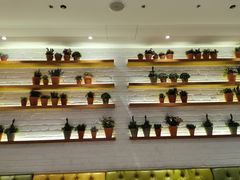 -翠華餐廳(浦东机场T1店)