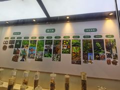 -广东中医药博物馆