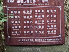 -呀诺达热带雨林