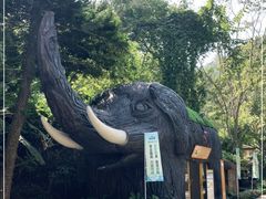 -野象谷景区