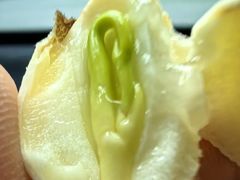 -阿巧茶庄