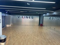 -VLines耀能运动24小时·月付制健身(京广桥店)