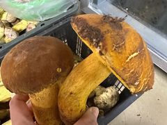 -双喜农庄·菌香园(安居家园店)
