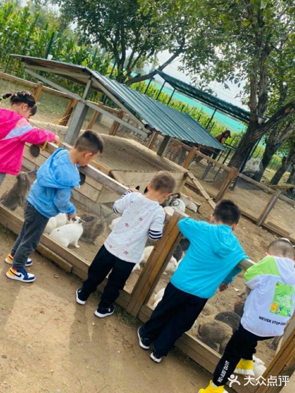 圣诞遛娃攻略～各种各种的户外游乐