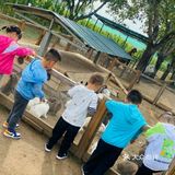 圣诞遛娃攻略～各种各种的户外游乐