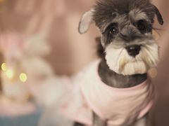 -三个大叔烤羊肉串·炭炉砂锅菜(西三旗店)