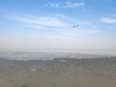 -天津东疆湾沙滩景区