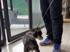 -艾贝尔宠物医院 ·内科全科(梁溪路店)