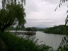 -上海市保健医疗中心(华东疗养院)