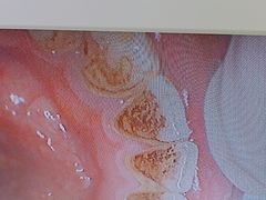 -深圳富茂格伦菲尔口腔门诊部(龙华清湖总院)