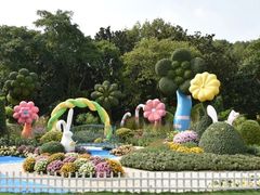 -上海共青森林公园