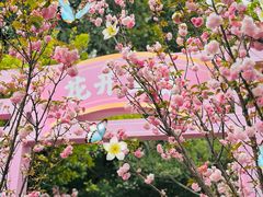 -观澜湖生态运动公社