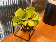 -新贝乐意大利餐厅(镇江苏宁广场店)