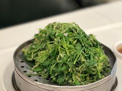 -金春禧(世茂国际广场店)