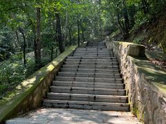 -大岭沟猕猴桃谷风景区