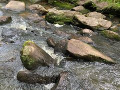 -汤旺河林海奇石景区