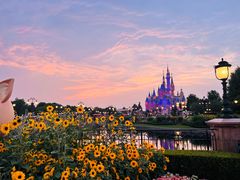 -上海迪士尼度假区