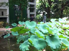 -香港大学