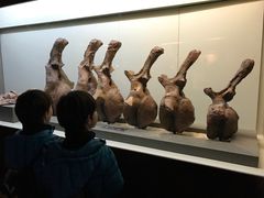 -世界恐龙谷景区