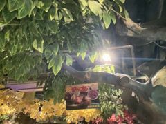 -城墙拐拐火锅(三峡广场黑金冠店)