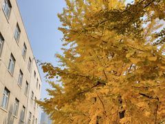 -东北大学(南湖校区)