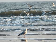 -老虎石海上公园