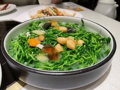 -顺峰顺水顺德菜(第一百货店)