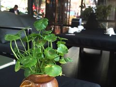 -新竹里馆·花园餐厅(兴苑路店)