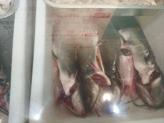 -小媳妇铁锅炖鱼(世博园店)