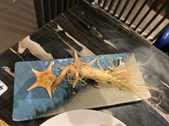 -千岛蚝高压锅生蚝·人参火锅(白云万达店)