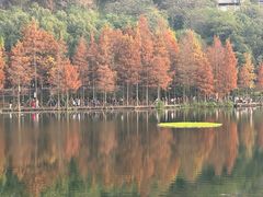 -重庆彩云湖湿地公园