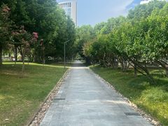 -天鹅湖体育公园