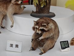 -陕西自然博物馆