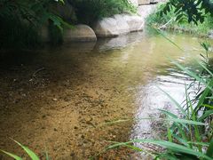 -碓臼峪自然风景区