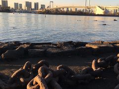 -台场海滨公园船码头